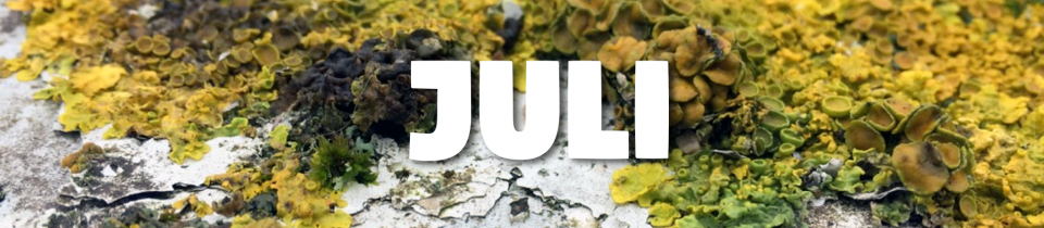 Laufbericht Juli Laufbericht Juli