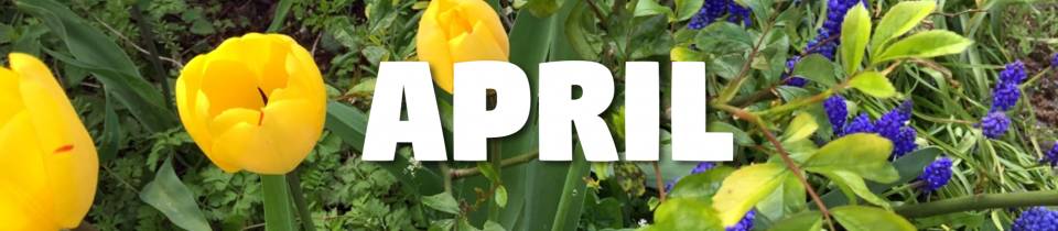 Laufbericht April Laufbericht April