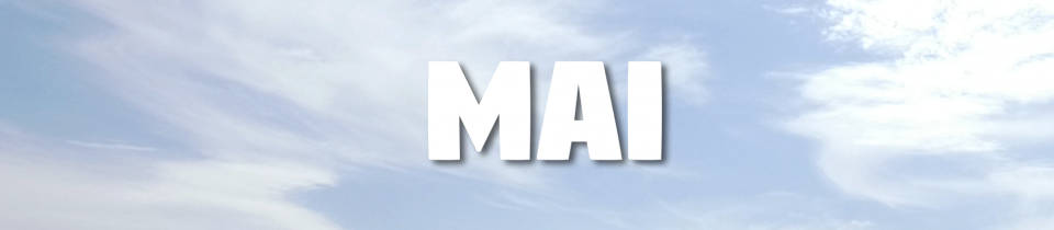 Laufbericht Mai Laufbericht Mai